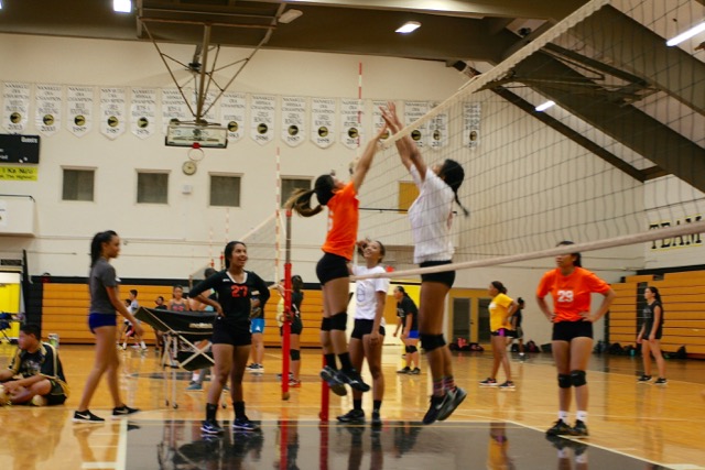 The NHIS Girls Volleyball team looks to improve.