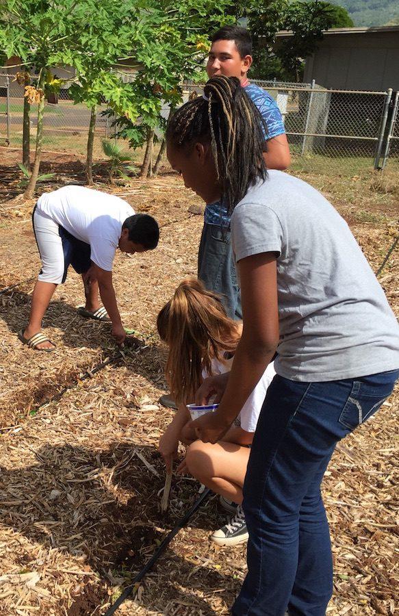 Students in the NHIS Agriculture class work inside and outside the classroom.