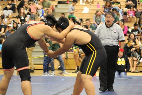 Photography Class: Wrestling OIA Western Division Varsity Championships