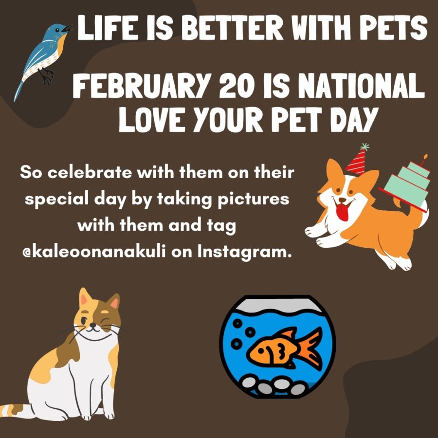 NATIONAL LOVE YOUR PET DAY VIDEO