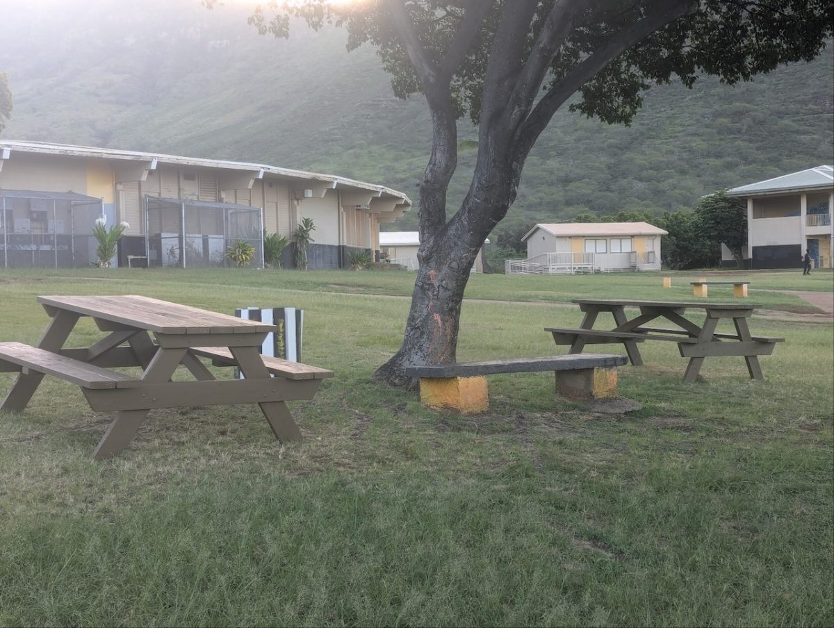 The NHIS Building and Construction students built several picnic benches for students and faculty to use.